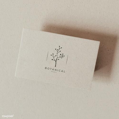 Beige blank botanical name card template - 2281590