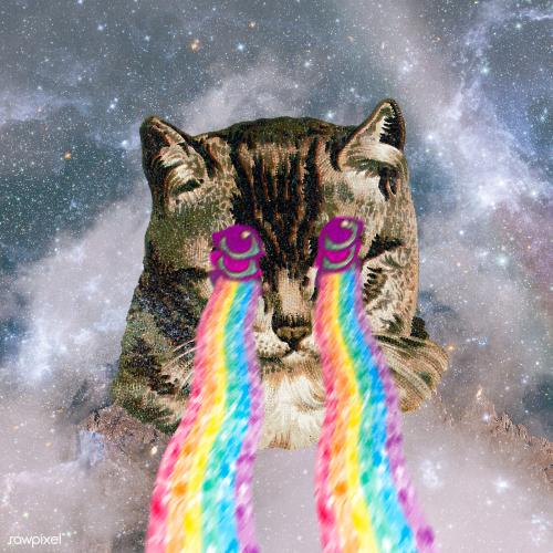 Cat with rainbow laser eyes sticker illustration - 1234868