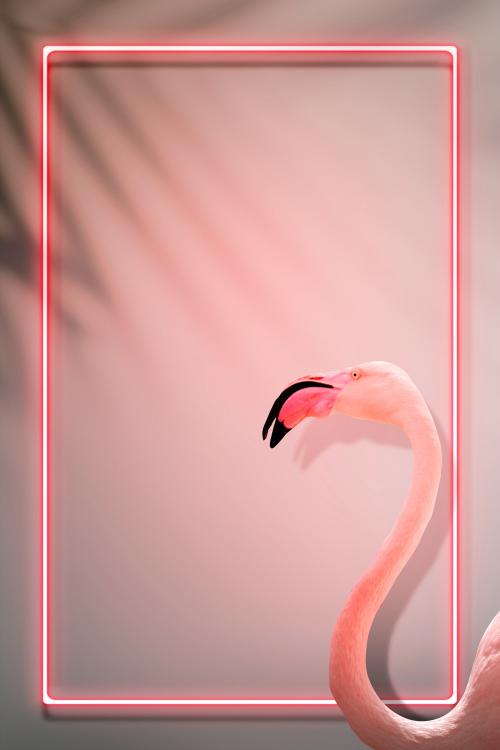 Pink flamingo decorated neon lights frame mockup design - 1223369