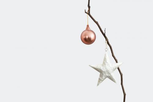 White star and a bauble on a branch - 1231154