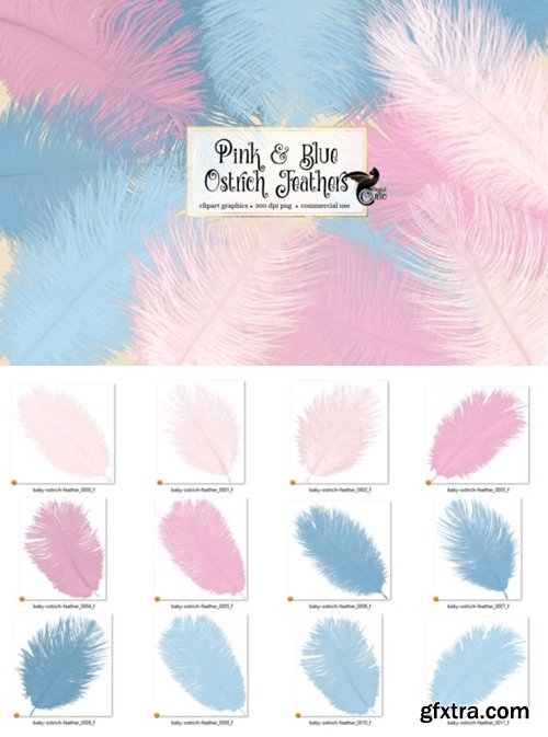 Pink and Blue Ostrich Feathers Clipart 4167479