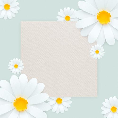 White daisy flower frame on light blue background illustration - 1202473