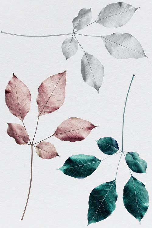 Branches of rose pink leaves with green and silver leaves pattern background illustration - 1203866