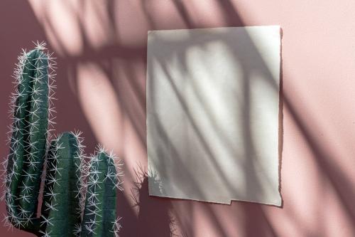 White poster template on a pastel pink wall by cacti - 1210094