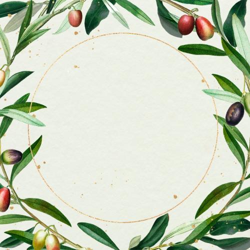 Olive wreath with a gold frame design element illustration - 1210400