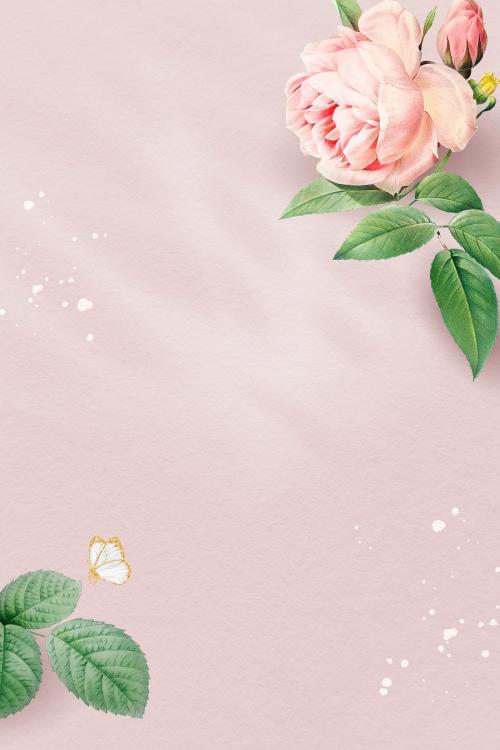 Blank pink rose frame illustration - 1212082