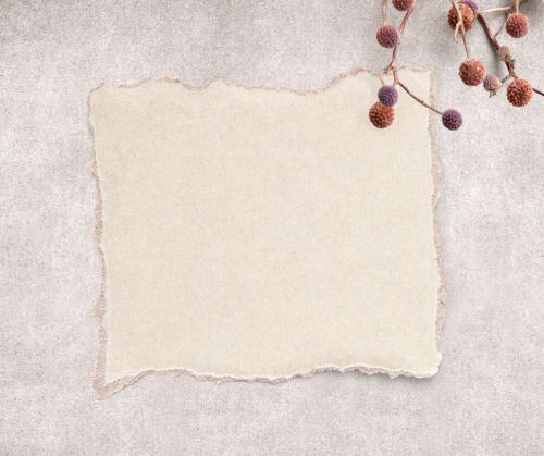 Blank torn craft paper template - 1202019