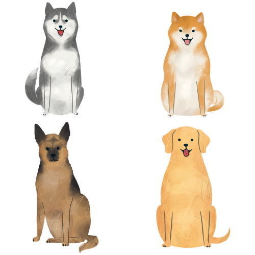 Trained dog collection transparent png - 2089798
