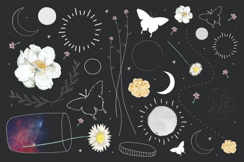 Floral and astronomical element collection design vector - 1227224