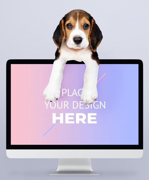 Adorable beagle puppy with a computer monitor mockup - 580894