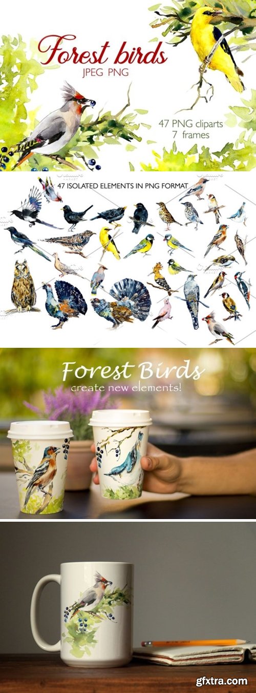 Watercolor Forest Birds. Frames 4226089