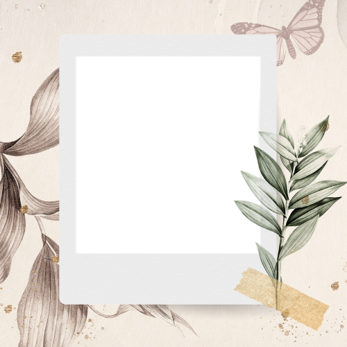 Blank photo frame on nature background transparent png - 2097157