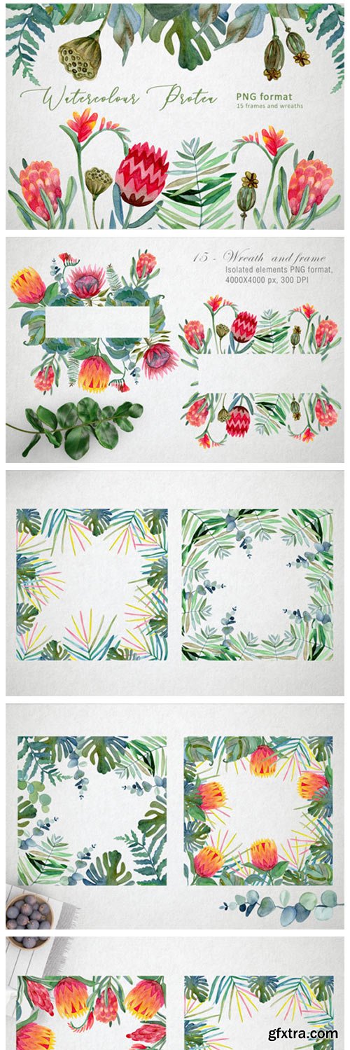 Watercolor Protea Frames and Wreath 4224481