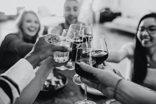 Friends making a toast at a dinner party - 2205506