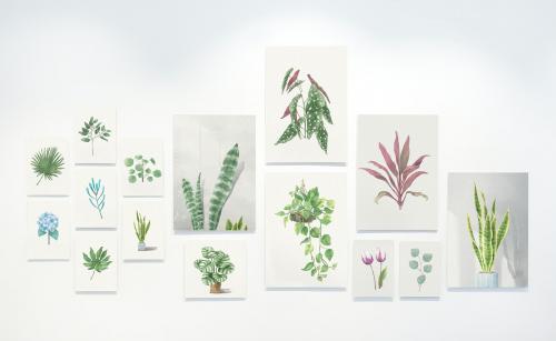 Collection of leaf paintings on a wall - 539226