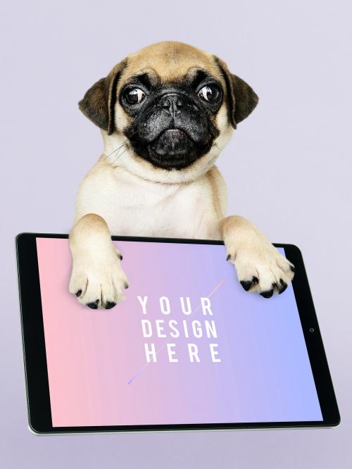 Adorable Pug puppy with digital tablet mockup - 542323