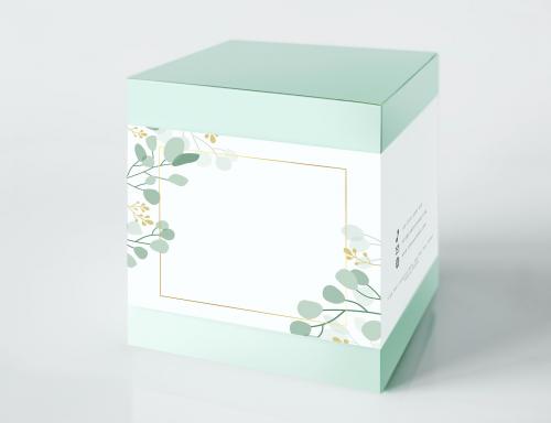 Mint green packaging box mockup - 545578