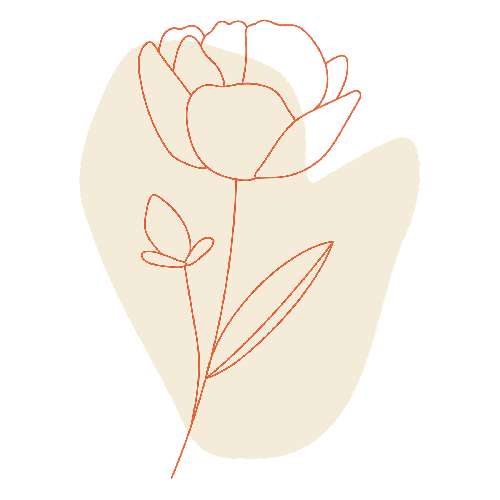 Flower line art transparent png - 2044520