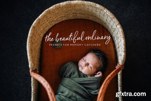Michelle McKay - The Beautiful Ordinary Presets for Memory Catchers