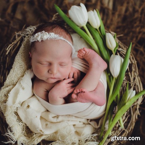 Newborn – Womb Wrap into a Bowl | Short