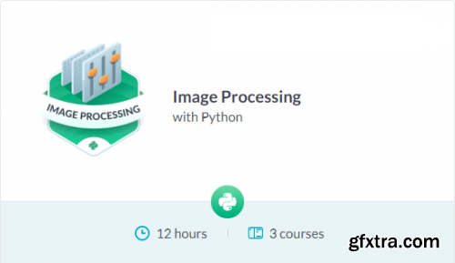 DataCamp Track - Image Processing with Python