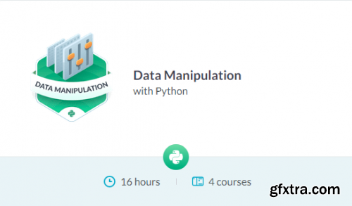 DataCamp Track - Data Manipulation with Python