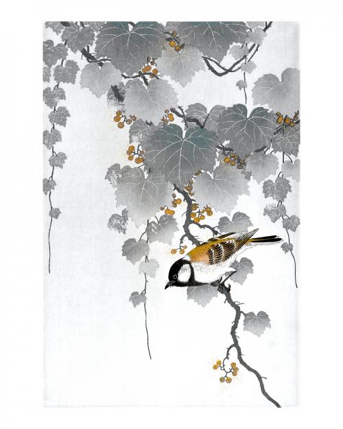 Great tit bird on a paulownia branch vintage illustration wall art print and poster design in black and gold, remix from original artwork. - 2270069