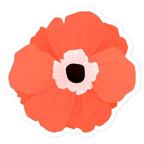 Red poppy flower sticker transparent png - 2030575