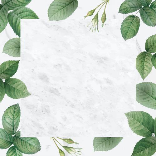 Green foliage pattern frame vector - 1214007