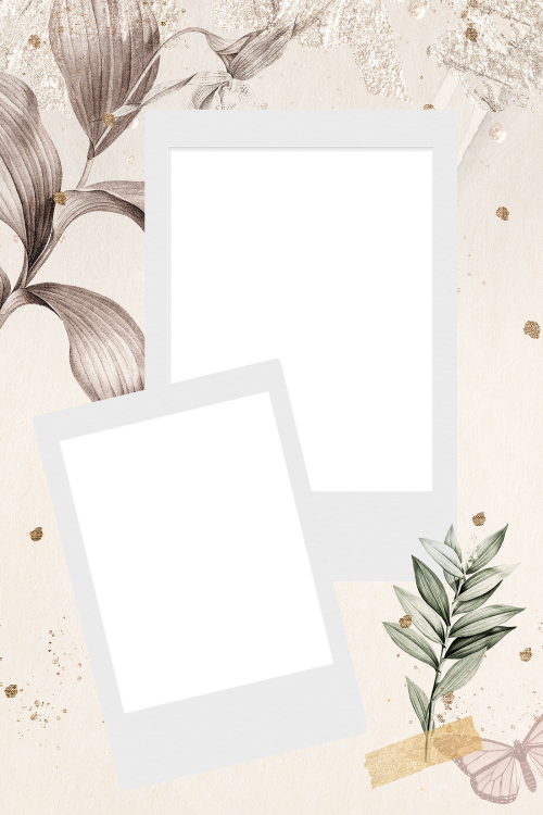 Blank photo frames on tropical leafy background transparent png - 2097156