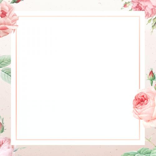 Pink rose pattern on white background vector - 1220119