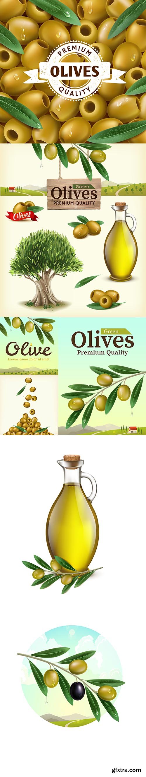 Realistic illustration of fruit olive plantations