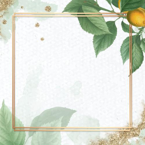 Gold frame on briançon apricot background vector - 1213294