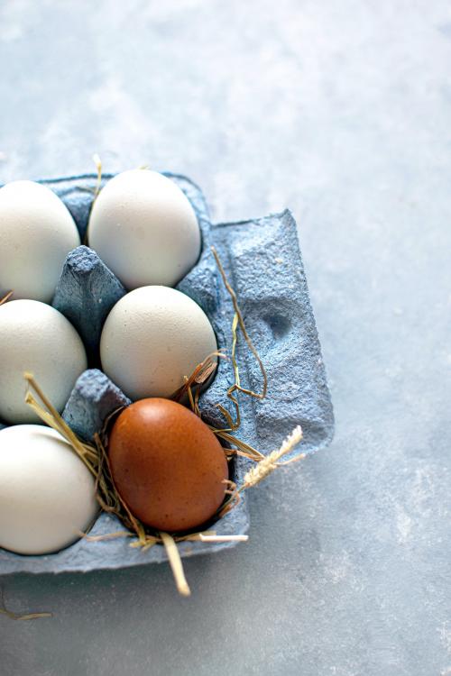 Fresh Cotswold egg in a carton - 2225783