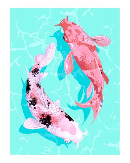 Two Japanese Koi fish swimming wall art print and poster - 2274398