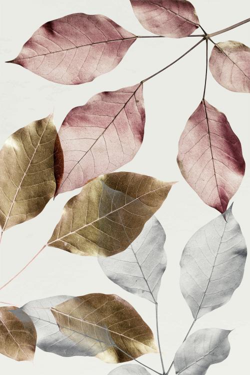 Silver leaves with gold and pink leaves pattern background - 1203950