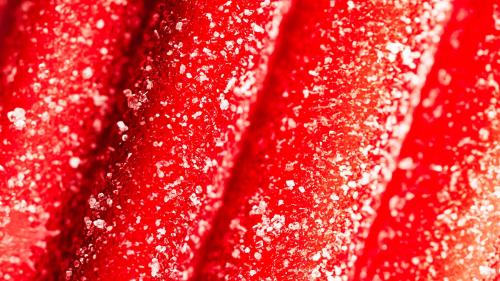 Red chewy candies coated with sugar - 2296644