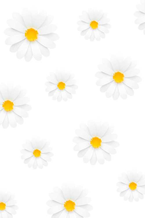 White daisy pattern transparent png - 2025423