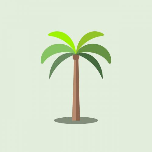 Green botany palm tree vector - 1188894