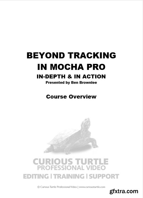 Curious Turtle - Beyond Tracking In-depth & In-action with Mocha Pro