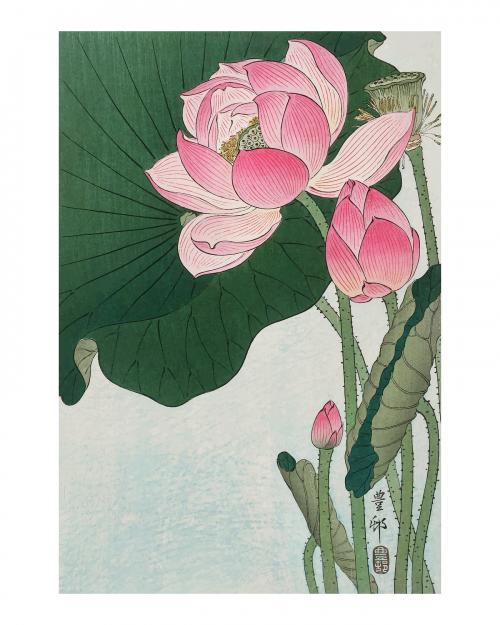 Blooming lotus vintage illustration wall art print and poster design remix from original artwork by Ohara Koson. Digitally drawing by rawpixel. - 2267414