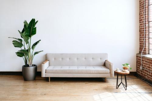 Modern beige fabric couch and plant in living room - 2030300