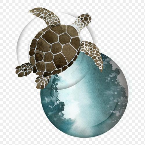 Watercolor painted sea turtle transparent png - 2045259
