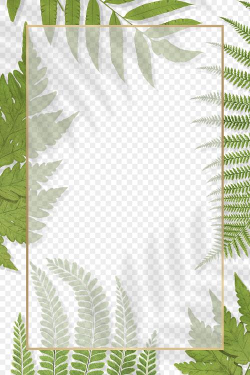 Frame of fern leaves transparent png - 2251168