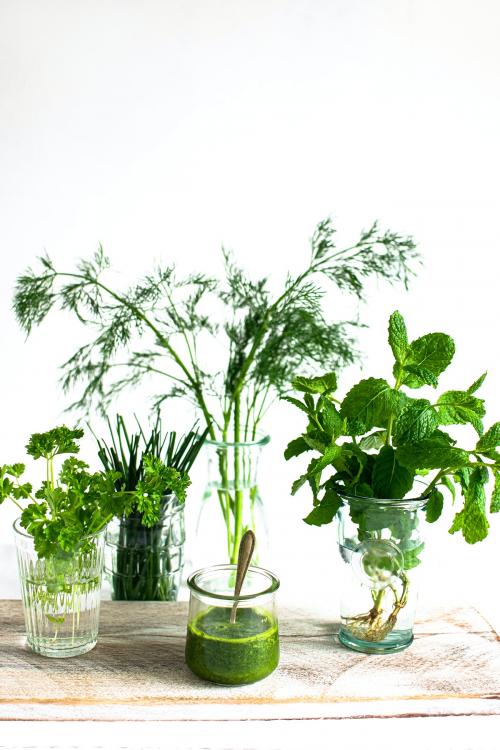 Green fresh organic herbs and homemade pesto ingredients - 2269728