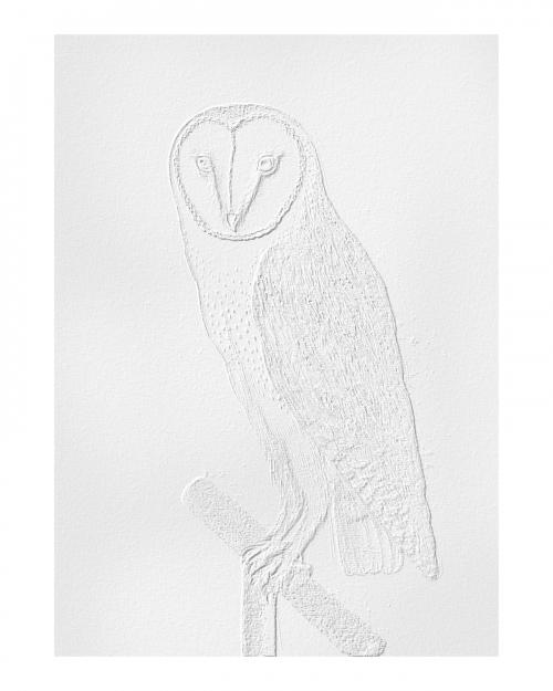 Embossed barn owl vintage illustration wall art print and poster design remix from original artwork. - 2271307