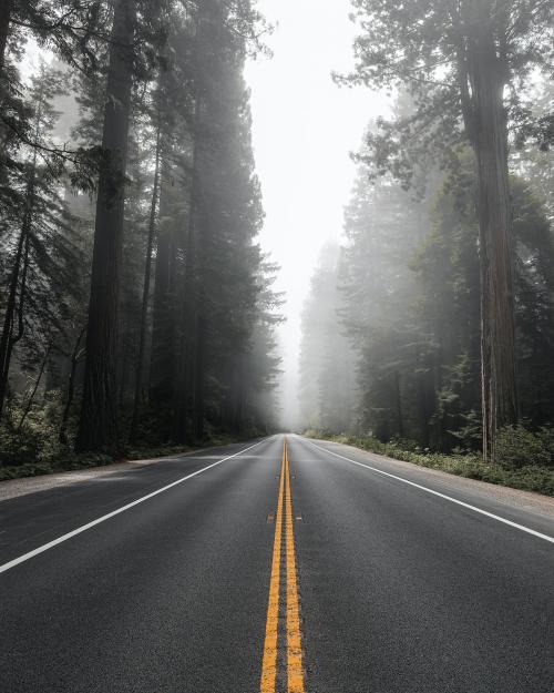 Scenic route in the Redwood National Forest in California, USA - 2092735