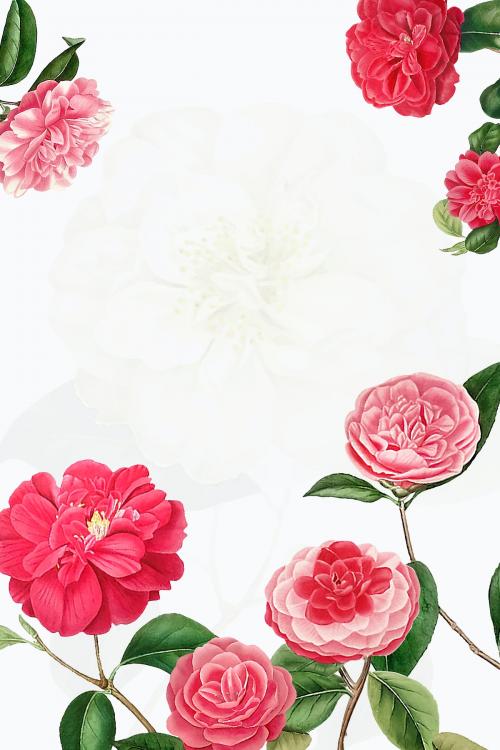 Vintage Camellia frame vector - 2107776