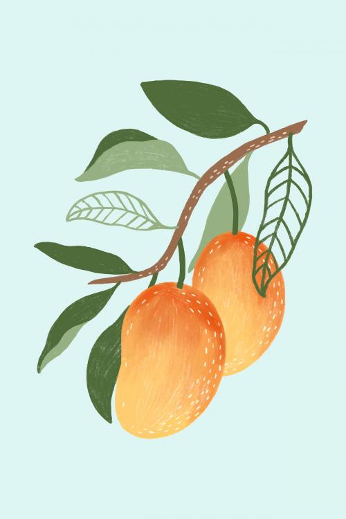 Hand drawn mango design resource vector - 2206751