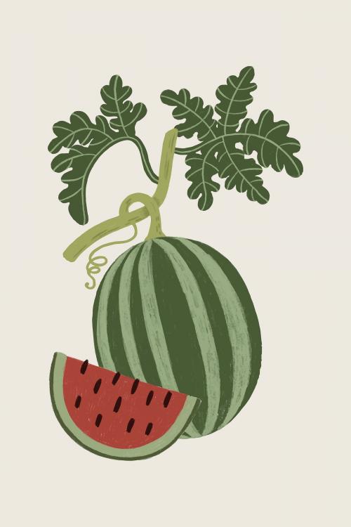 Hand drawn watermelon design resource vector - 2206776